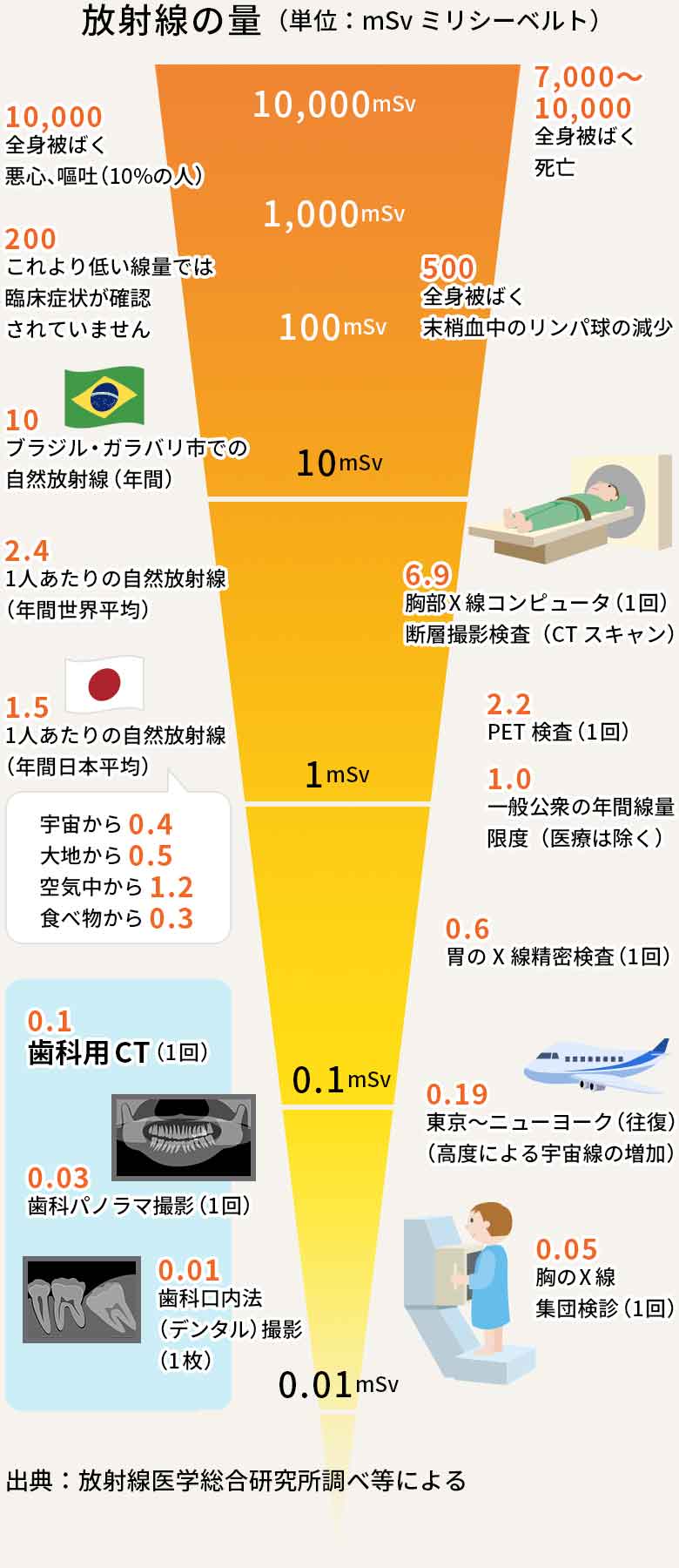 骨の密度がわかる