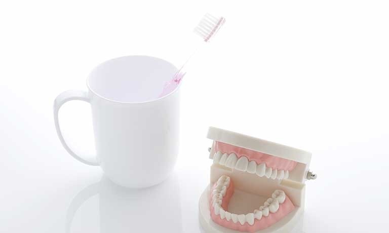 コップと歯ブラシ、歯の模型